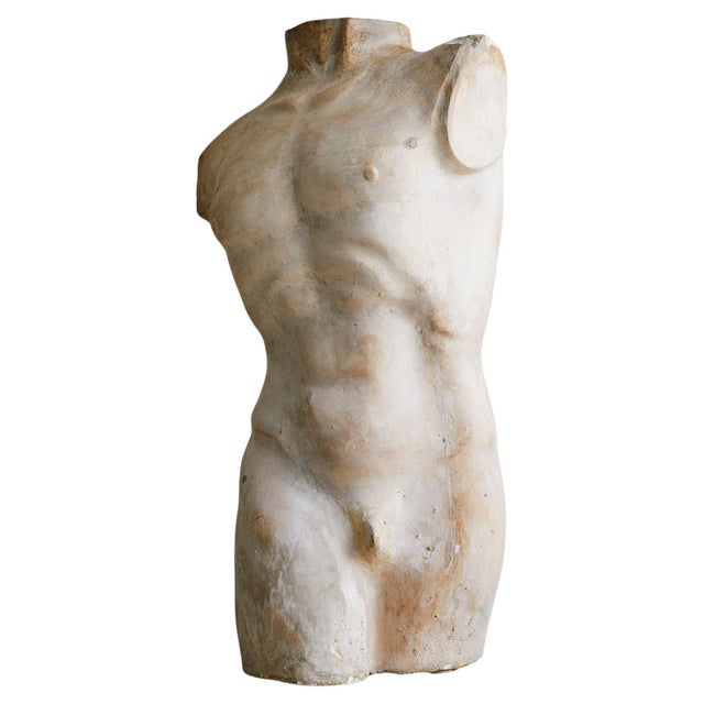 Vintage French Plaster Male Torso Sculpture For Sale - Image 17 of 18