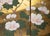 "Chrysanthemums, Rose Mallow and Bush Clover" by Shunsui, Showa Japanese Byobu Screen For Sale - Image 11 of 18