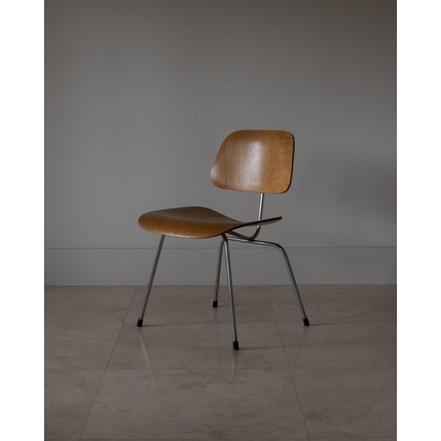 1950s 1950s Charles and Ray Eames DCM Dining Chairs by Herman Miller, Usa For Sale - Image 5 of 13