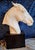 Wood Horse Head Sculpture in White Bisque Porcelain on Black Base by Albert Hinrich Hussmann for Rosenthal, 1970s For Sale - Image 7 of 7