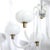 Mid-Century Hand-Blown Murano Glass 5-Arm Chandelier by Barovier & Toso For Sale - Image 18 of 18