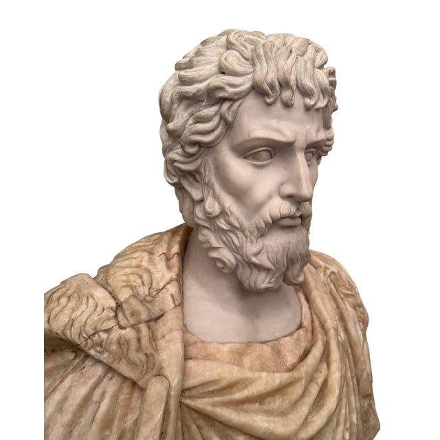 Bust of Roman Emperor Septimius Severus on Black Marble Base. Italy 20th Century For Sale - Image 10 of 10