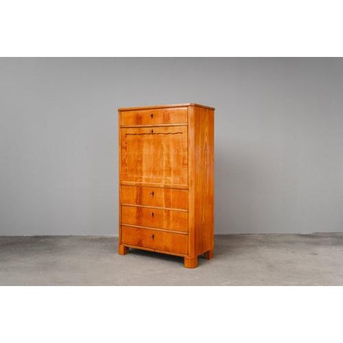 Biedermeier Standing Secretaire in Mahogany For Sale - Image 5 of 18