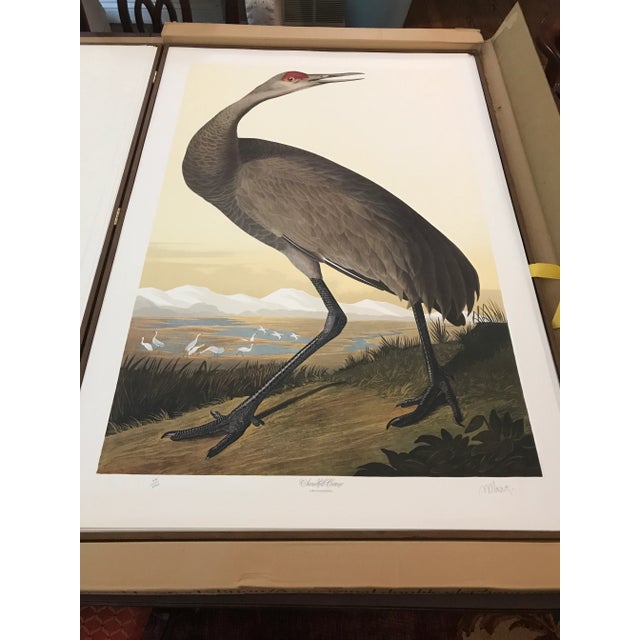 Description: This lot is a beautiful set of collector limited edition prints entitled John James Audubon's "'Birds of...