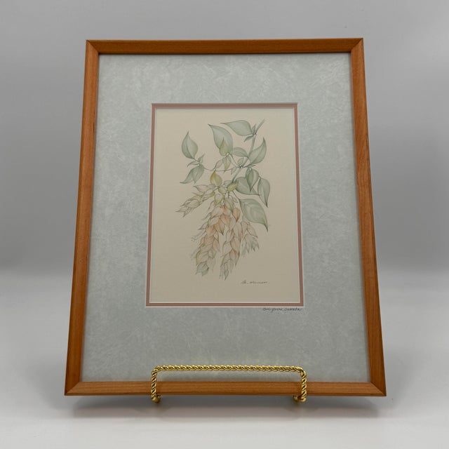 Traditional Margot Weemaes 1981 Beloperone Guttata Botanical Portfolio Print For Sale - Image 3 of 11
