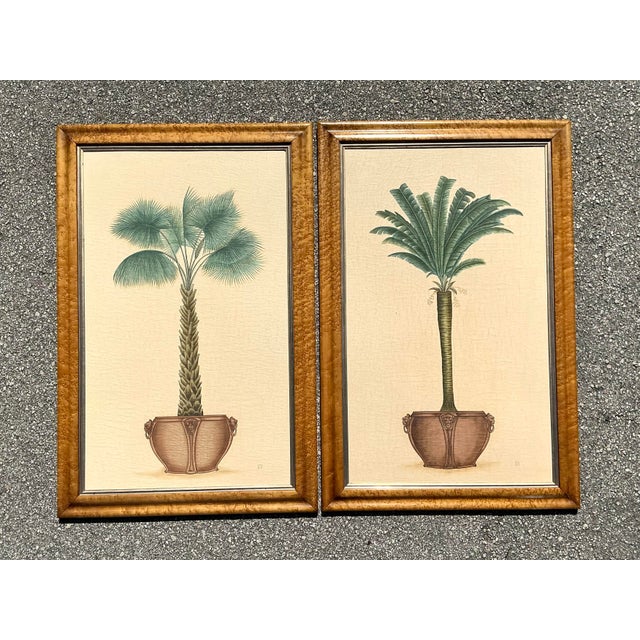 Vintage Coastal Palm Prints - A Pair For Sale - Image 10 of 12