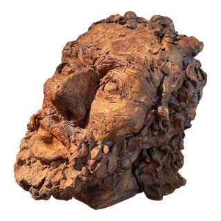 20th Century Terracotta Bust Sculpture of a Classical Greek For Sale