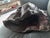 Beautiful original art piece, heavy bronze piece with delicate patina. Weighs 42lbs