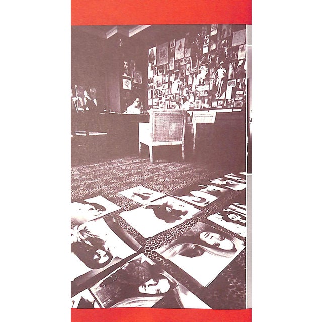 Traditional "d.v." 1985 Vreeland, Diana Book For Sale - Image 3 of 6