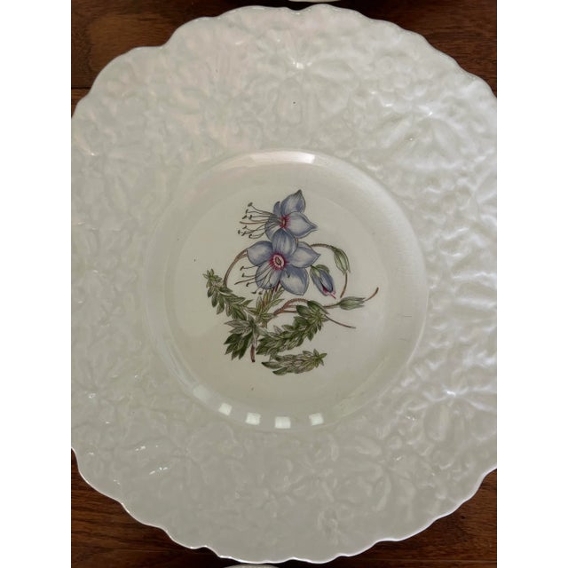 1940s Royal Cauldron Bristol Ironstone “Cardinal Flower” 9.5” Appetizer Plates ~ Set of 8 ~ England For Sale - Image 9 of 13