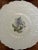 1940s Royal Cauldron Bristol Ironstone “Cardinal Flower” 9.5” Appetizer Plates ~ Set of 8 ~ England For Sale - Image 9 of 13