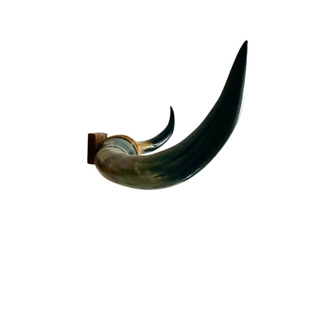 Late 20th Century Late 20th Century Bull Horn Large Steer Longhorn Leather Wrapped Mounted Cabin Rustic Decor For Sale - Image 5 of 9