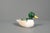 Modern Handmade Porcelain Duck from Manufactory Weiss, Brazil For Sale - Image 3 of 11