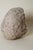 1960s Expressive White Bust of a Man with Mustache and Long Hair, 1960s, Clay For Sale - Image 5 of 10