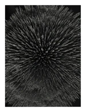 Seb Janiak "Magnetic Radiation 99 (Large)", Photograph