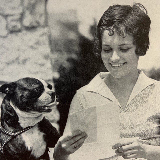 Wonderful book illustration of a Boston Bull Dog with a woman. Ready for framing! Great for a child's room or nursery.