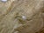 Mid 20th Century Horse Head Casted Sculpture For Sale - Image 11 of 12