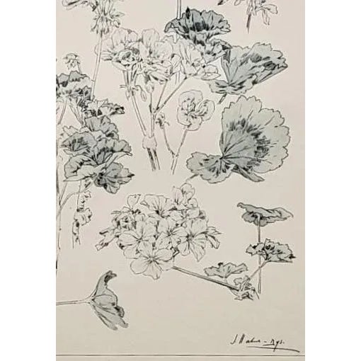 Printmaking Materials C1900 Botanical Studies-Set of 3, White Lily, Geranium, Carnation For Sale - Image 7 of 12