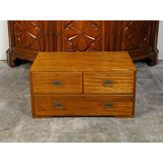 19th Century English Campaign 19th Century Camphor Wood Low Chest with Inset Brass Hardware For Sale - Image 5 of 12