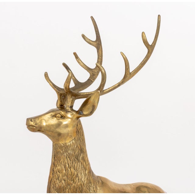 Brass Pair of Stag and Doe Large Brass Sculptures For Sale - Image 8 of 11