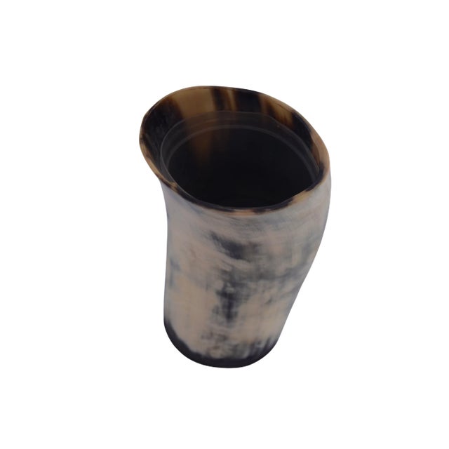 Natural Buffalo Bison Horn 6" Vase For Sale - Image 4 of 5