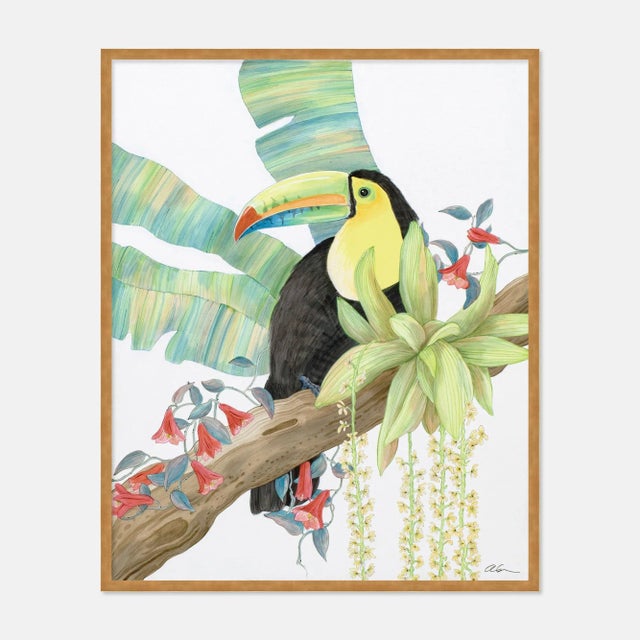 Contemporary Toucan Play at That Game by Allison Cosmos in White Framed Paper, XS Art Print For Sale - Image 3 of 3
