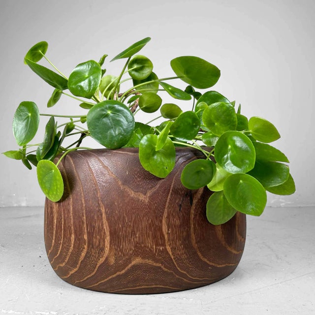 Contemporary Traditional Japanese Fire Pot, 1920s For Sale - Image 3 of 11