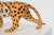 Hand‑painted Ceramic Leopard Sculpture from Giovanni Rozan, Italy, 1950s For Sale - Image 10 of 11