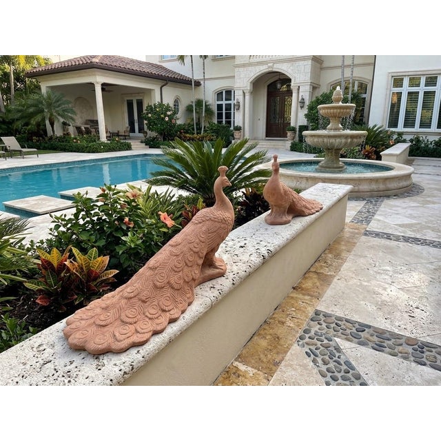 Terra Cotta Pair of Vintage Tuscan Terra Cotta Peacock Garden Sculptures For Sale - Image 8 of 12