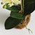 Contemporary Phalaenopsis Orchid Drop-In 23" For Sale - Image 3 of 4