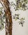 Original Watercolor Small Painting “Eucalyptus Tree” Framed For Sale - Image 4 of 4