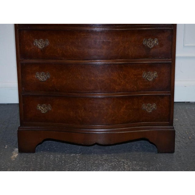 Late 20th Century Burr Walnut Chest of Drawers with Brass Handles For Sale - Image 6 of 16
