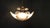Vintage Italian Glass and Brass Chandelier, 1970s For Sale - Image 8 of 17