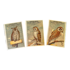 Victorian Ephemera Advertising Cards With Owl Artwork