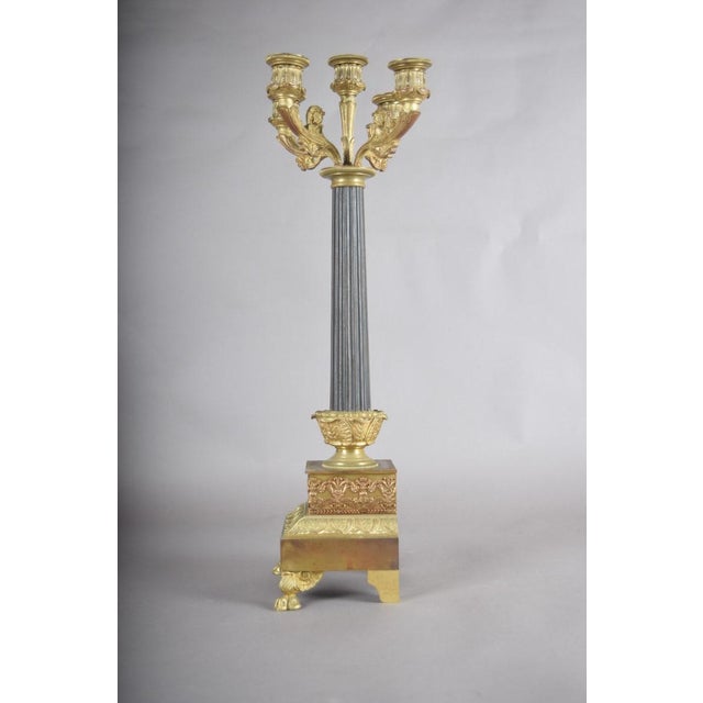 The candelabra held a particular status in the nineteenth-century French interior: more than a candlestick, it announced...