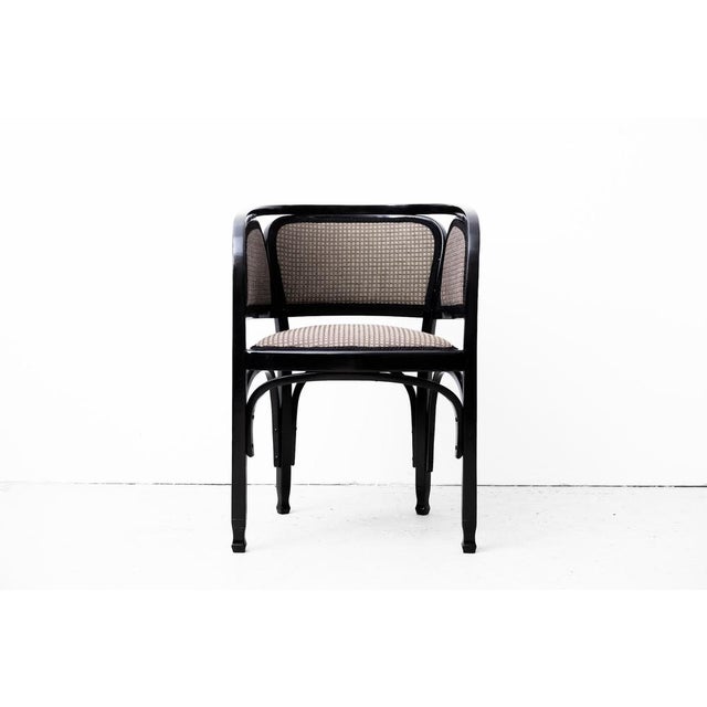 Original Art Nouveau Armchair Model 716/F by Gustav Siegel for Jacob & Josef Kohn, 1901 For Sale - Image 13 of 18