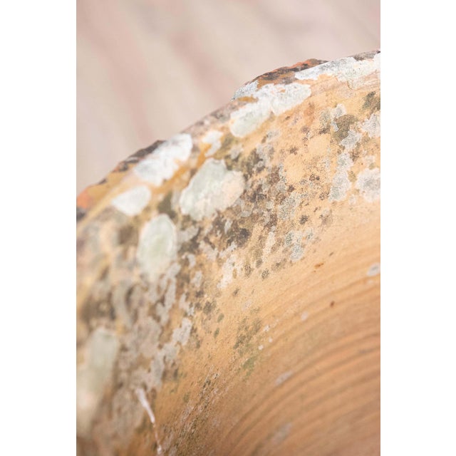 19th Century 19th Century French Anduze Vase Circa 1890 For Sale - Image 5 of 10