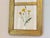 Gold Antique Victorian Authentic Botanicals | Two Floral Prints in a Gilt Frame | F. Edward Hulmes For Sale - Image 8 of 9
