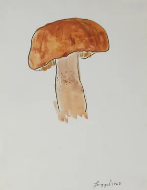 Mendocino Mushrooms by Laura Lengyel