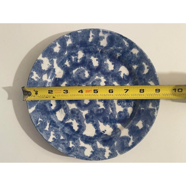 American Antique Spongeware Pottery Blue and White Plate - Lancaster County Pa For Sale - Image 3 of 5