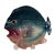 Vintage Brad Keeler Fish Plate For Sale