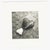 1990s still life etching with aquatint on paper by Vermont artist Rosemary Ladd. Pencil signed, and numbered 4 of 50....