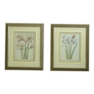 Silver Framed & Matted Botanical Prints - a Pair For Sale