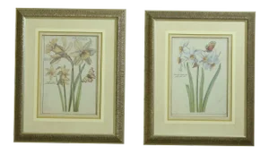 Silver Framed & Matted Botanical Prints - a Pair