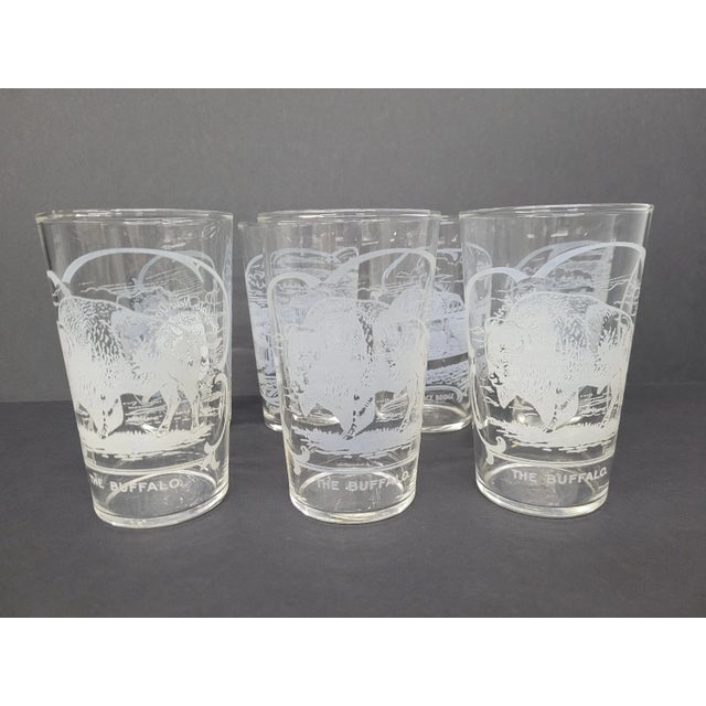 Vintage Buffalo New York Etched Drinking Glasses Set of 6 Chairish