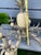 Vintage 1980s Quoizel Pineapple Tole Chandelier, Featuring a Large Central Ceramic Pineapple For Sale - Image 11 of 12