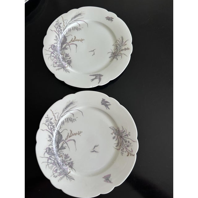 Porcelain Plates and Platter by Ch Pillivuyt & Cie, 1890s, Set of 8, in Good conditions. Designed 1890 to 1919 This piece...