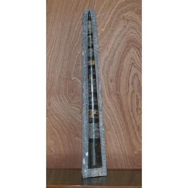 We are delighted to offer for sale this stunning pair of fully polished circa 395-million-year-old Ammonite Atlas...