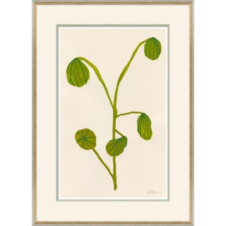 Fruity II Framed Art Print by Susan Hable For Sale