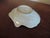 White 18th Century Chinese Export Famille Rose Porcelain Scallop Shell Shape Bowl For Sale - Image 8 of 11